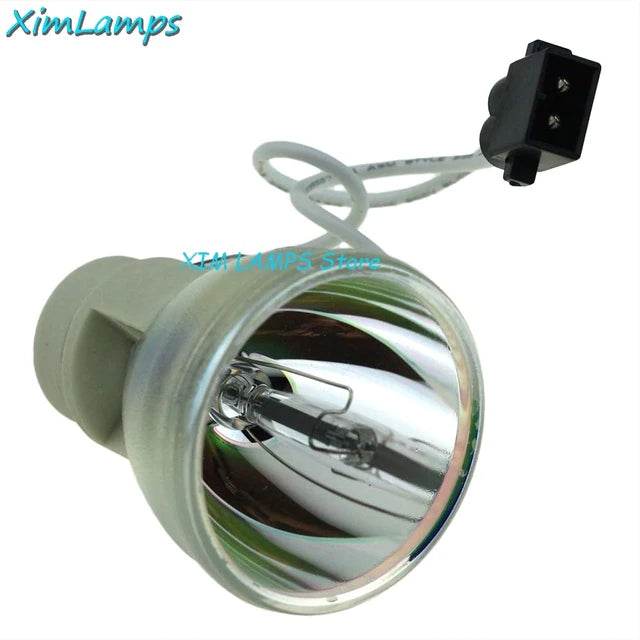 PRO10100 replacement lamp module