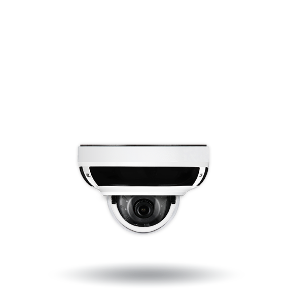 Digital MEGApix Ai Indoor/Outdoor Vandal Dome Ca