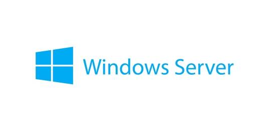 WINSVR2019STD ADDLLIC 2C (RESELLER POS)
