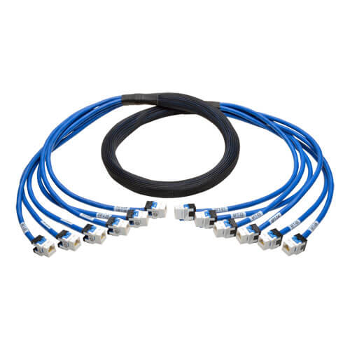 TRIPP LITE AUGMENTED CAT6/6A PRE-TERMINATED COPPER TRUNK BUNDLE 6XRJ45 (F/F) 10'