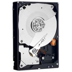 DELL 1.2TB 10K RPM SAS 512N 2.5IN HOT-PLUG DRIVE