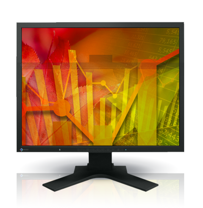 21.3IN LCD 1600X1200 1500:1