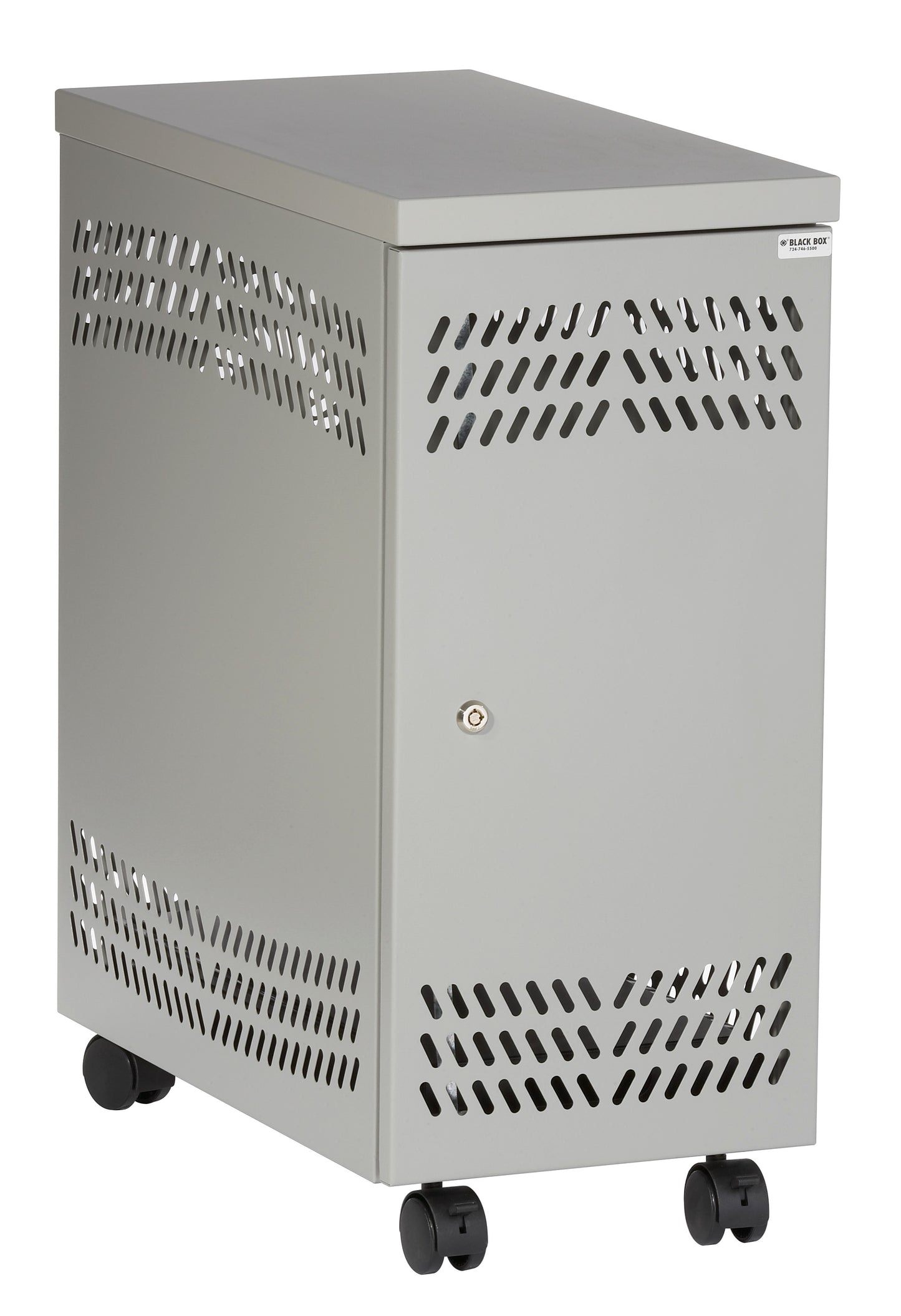 CPU MOBILE SECURITY CABINET, LIGHT GRAY