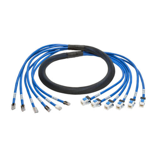 TRIPP LITE AUGMENTED CAT6/CAT6A PRE-TERMINATED COPPER TRUNK BUNDLE, (6X) RJ45 (M