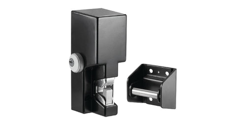 Gate Lock, 12/24VDC,Standard Fail Locked