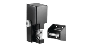 Gate Lock, 12/24VDC,Standard Fail Locked