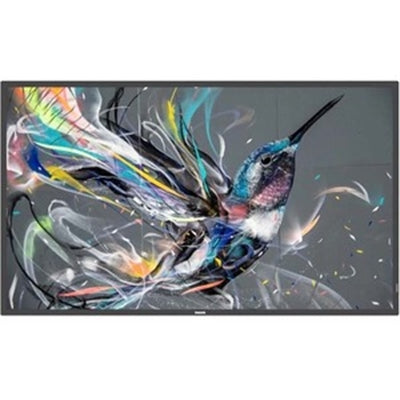 Philips 50" Prosumer 18/7 Display, UHD (3840x2160), 400cd/m2