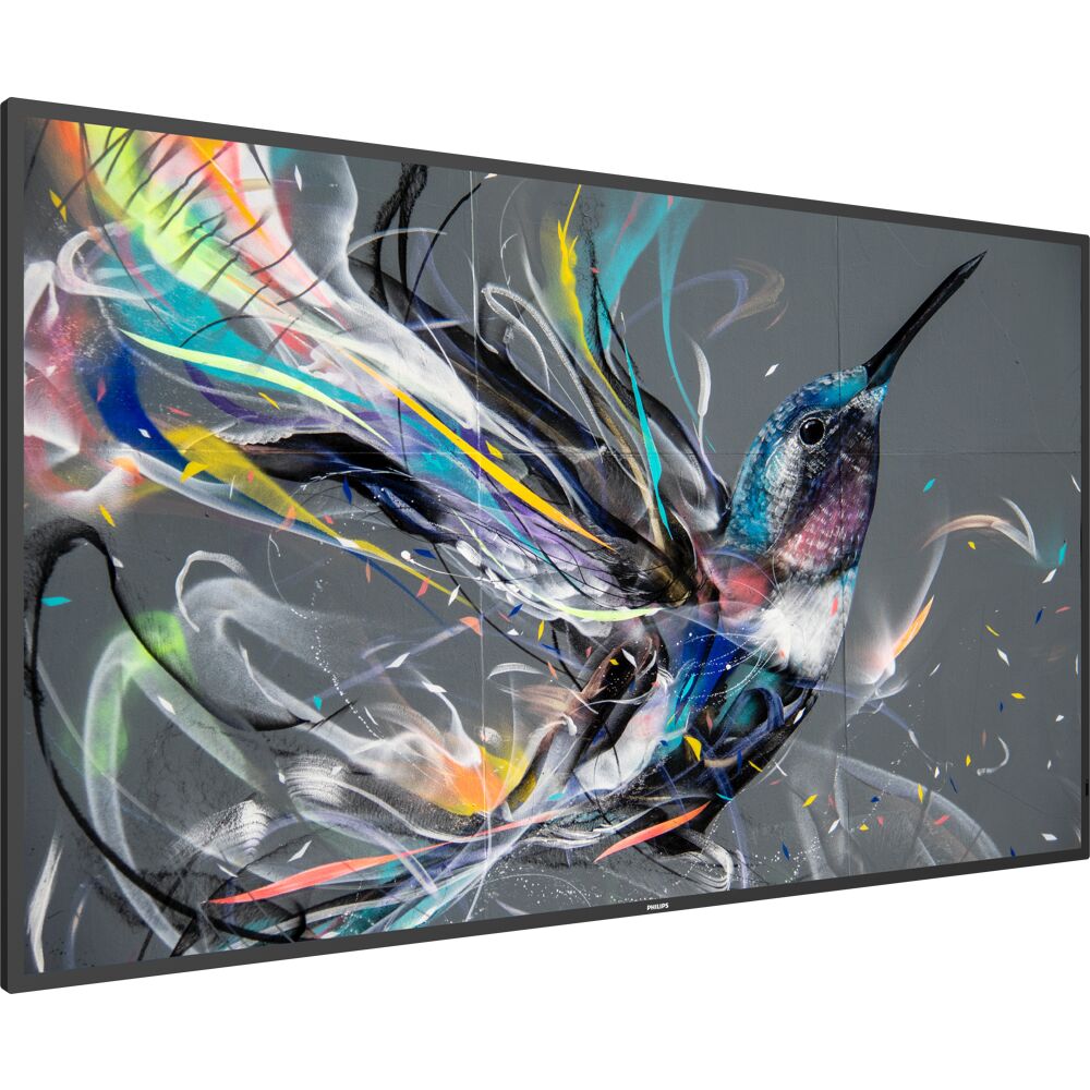 PHILIPS 55 PROSUMER 18/7 DISPLAY, UHD (3840X2160), 400CD/M2.