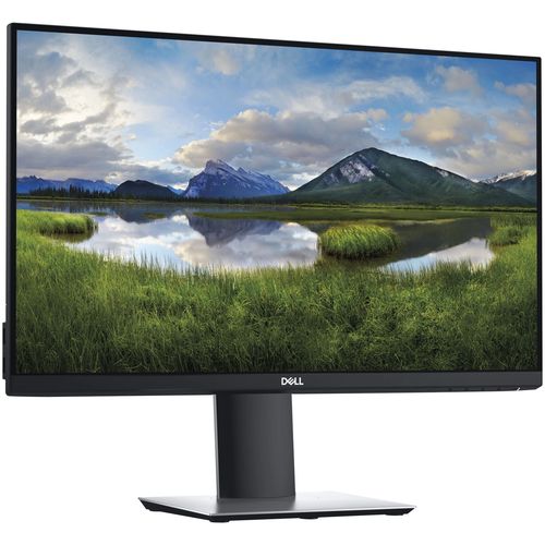 DELL 23IN P2319H