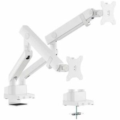 AMER DUAL MONITOR MOUNT (WHITE) ARTICULATING SPRING ARM