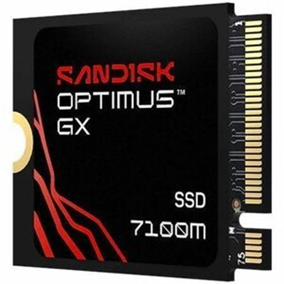 SANDISK Optimus GX 7100M PCIe-G4 2TB