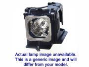 PROJECTOR REPLACEMENT LAMP FOR PX706HD