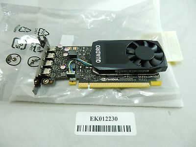 THINKSTATN NVIDIA QUADRO P1000