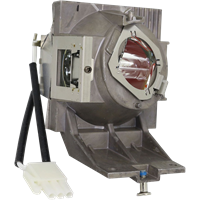 PROJECTOR REPLACEMENT LAMP FOR PX700HD, PG700WU