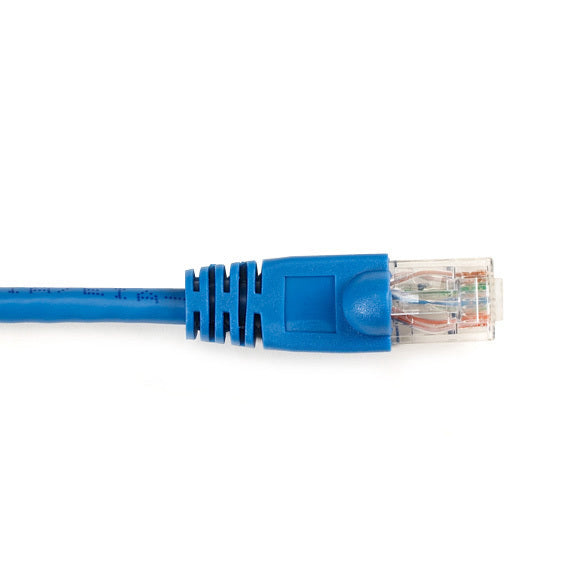 20FT BL CAT6 CABLE UTP CM