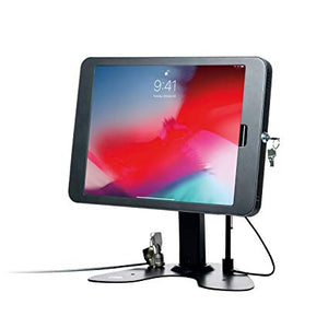Dual Security Kiosk Stand