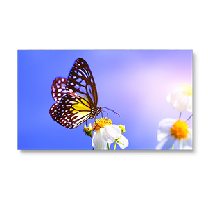 55" FHD 1920 x 1080 LED Display 24/7