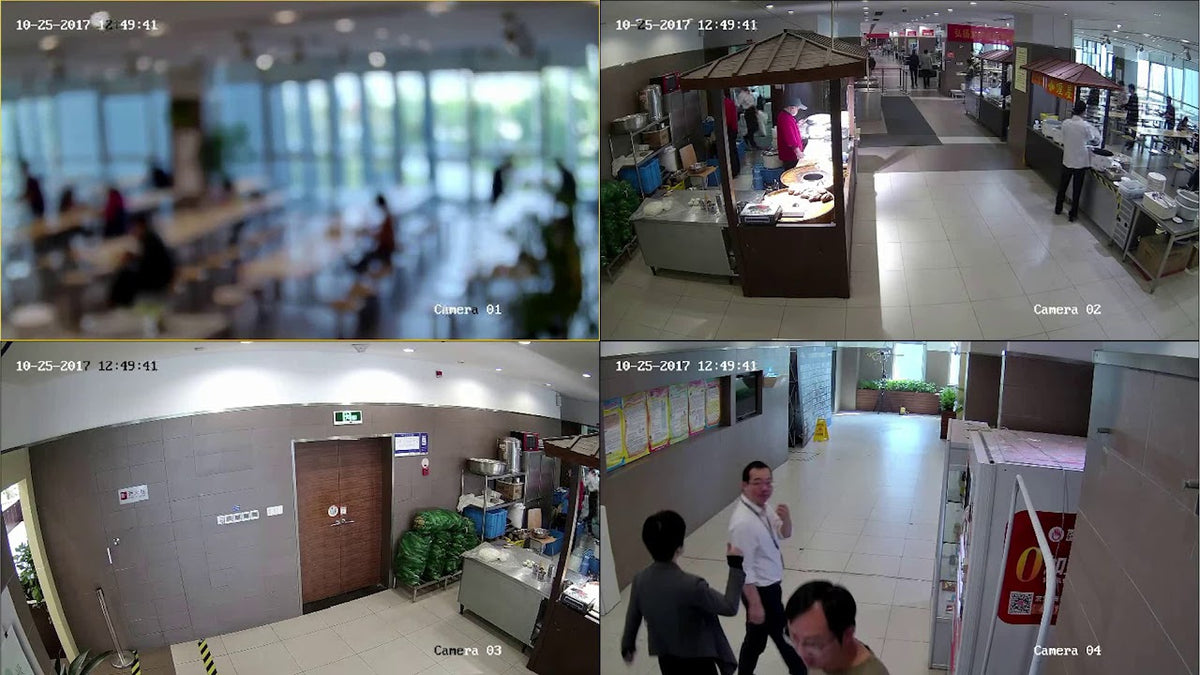 20MP 4X5MPIX 30 FPS 2.8-12MM CAM H.265+